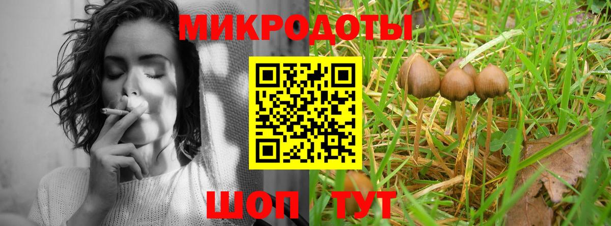 Тимашёвск  Галлюциногенные грибы Psilocybe  Вход с VPN  Псилоцибиновые грибы мухоморы 