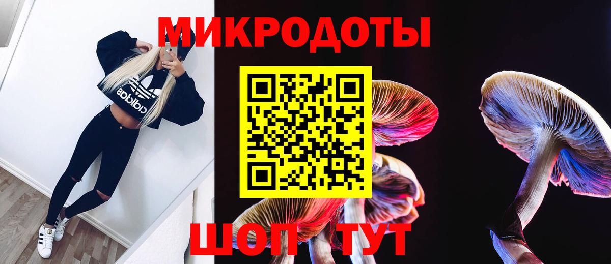 Галлюциногенные грибы MAGIC MUSHROOMS Тимашёвск